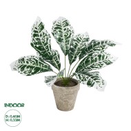 Artificial Garden WHITE AGLAONEMA POTTED PLANT 20903 Διακοσμητικό Φυτό Λευκό Αγλαόνημα Φ40 x Υ33cm