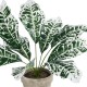 Artificial Garden WHITE AGLAONEMA POTTED PLANT 20903 Διακοσμητικό Φυτό Λευκό Αγλαόνημα Φ40 x Υ33cm