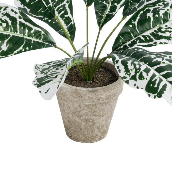 Artificial Garden WHITE AGLAONEMA POTTED PLANT 20903 Διακοσμητικό Φυτό Λευκό Αγλαόνημα Φ40 x Υ33cm