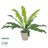 Artificial Garden  ASPLENIUM POTTED PLANT 20904 Διακοσμητικό Φυτό Aslenium Φ40 x Υ33cm