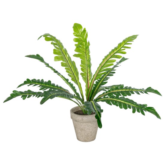 Artificial Garden  ASPLENIUM POTTED PLANT 20904 Διακοσμητικό Φυτό Aslenium Φ40 x Υ33cm