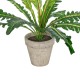 Artificial Garden  ASPLENIUM POTTED PLANT 20904 Διακοσμητικό Φυτό Aslenium Φ40 x Υ33cm