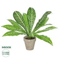 Artificial Garden  ZEBRA POTTED PLANT 20906 Διακοσμητικό Φυτό Ζέμπρα Φ40 x Υ33cm