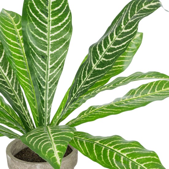 Artificial Garden  ZEBRA POTTED PLANT 20906 Διακοσμητικό Φυτό Ζέμπρα Φ40 x Υ33cm