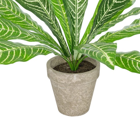 Artificial Garden  ZEBRA POTTED PLANT 20906 Διακοσμητικό Φυτό Ζέμπρα Φ40 x Υ33cm