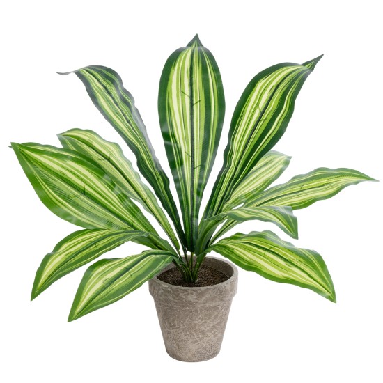 Artificial Garden  DRACAENA POTTED PLANT 20907 Διακοσμητικό Φυτό Δράκενα Φ40 x Υ33cm