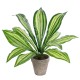 Artificial Garden  DRACAENA POTTED PLANT 20907 Διακοσμητικό Φυτό Δράκενα Φ40 x Υ33cm