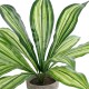 Artificial Garden  DRACAENA POTTED PLANT 20907 Διακοσμητικό Φυτό Δράκενα Φ40 x Υ33cm