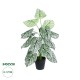 Artificial Garden CALADIUM 20908 Διακοσμητικό Φυτό Καλάδια Υ75cm