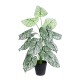 Artificial Garden CALADIUM 20908 Διακοσμητικό Φυτό Καλάδια Υ75cm