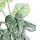 Artificial Garden CALADIUM 20908 Διακοσμητικό Φυτό Καλάδια Υ75cm