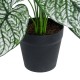 Artificial Garden CALADIUM 20908 Διακοσμητικό Φυτό Καλάδια Υ75cm