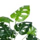 Artificial Garden MONSTERA PLANT 20909 - Διακοσμητικό Φυτό Μονστέρα Φ50 x Υ75cm