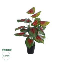 Artificial Garden CALADIUM MIX 20911 Διακοσμητικό Φυτό Καλάντιουμ Υ75cm