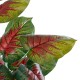 Artificial Garden CALADIUM MIX 20911 Διακοσμητικό Φυτό Καλάντιουμ Υ75cm