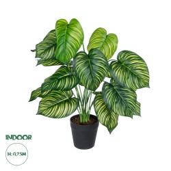 Artificial Garden CALATHEA PLANT 20912 Διακοσμητικό Φυτό Καλαθέα Φ55 x Υ75cm