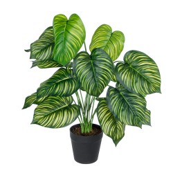 Artificial Garden CALATHEA PLANT 20912 Διακοσμητικό Φυτό Καλαθέα Φ55 x Υ75cm