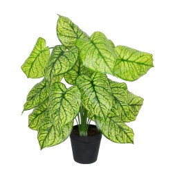 Artificial Garden CALADIUM PLANT 20913 Διακοσμητικό Φυτό Καλάντιουμ Φ55 x Υ75cm