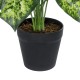 Artificial Garden DIEFFENBACHIA PLANT 20914 Διακοσμητικό Φυτό Διφενμπάχια Φ58 x Υ75cm