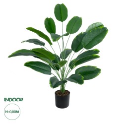 Artificial Garden YOUNG BANANA PLANT 20916 - Διακοσμητικό Φυτό Νεαρή Μπανανιά Φ82 x Υ80cm