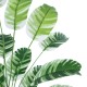 Artificial Garden BANANA ZEBRA PLANT 20918 - Διακοσμητικό Φυτό Μπανανιά Ζέβρα Φ83 x Υ80cm