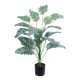 Artificial Garden BANANA ZEBRA PLANT 20919 - Διακοσμητικό Φυτό Μπανανιά Ζέβρα Φ78 x Υ80cm