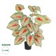 Artificial Garden CALADIUM PLANT 20921 Διακοσμητικό Φυτό Καλάντιουμ Φ75 x Υ80cm