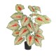 Artificial Garden CALADIUM PLANT 20921 Διακοσμητικό Φυτό Καλάντιουμ Φ75 x Υ80cm