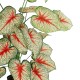 Artificial Garden CALADIUM PLANT 20921 Διακοσμητικό Φυτό Καλάντιουμ Φ75 x Υ80cm