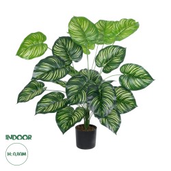 Artificial Garden CALATHEA PLANT 20922 Διακοσμητικό Φυτό Καλαθέα Φ70 x Υ80cm