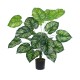 Artificial Garden CALATHEA PLANT 20922 Διακοσμητικό Φυτό Καλαθέα Φ70 x Υ80cm