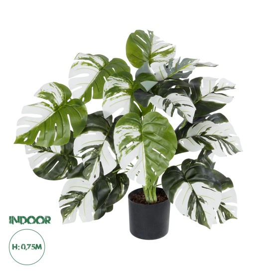 Artificial Garden ALBINO MONSTERA PLANT 20925 - Διακοσμητικό Φυτό Λευκή Μονστέρα Φ70 x Υ75cm