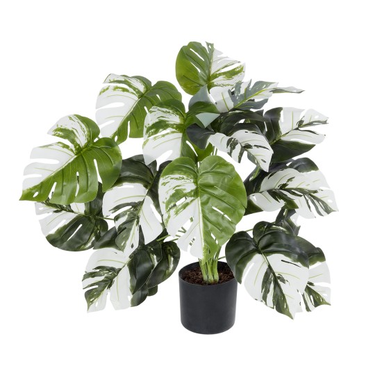 Artificial Garden ALBINO MONSTERA PLANT 20925 - Διακοσμητικό Φυτό Λευκή Μονστέρα Φ70 x Υ75cm