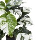 Artificial Garden ALBINO MONSTERA PLANT 20925 - Διακοσμητικό Φυτό Λευκή Μονστέρα Φ70 x Υ75cm