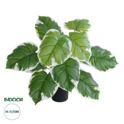 Artificial Garden WHITE HOSTA PLANT 20931 Διακοσμητικό Φυτό Λευκή  Χόστα Φ60 x Υ55cm