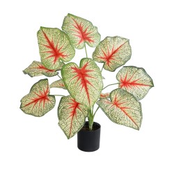 Artificial Garden CALADIUM PLANT 20932 Διακοσμητικό Φυτό Καλάντιουμ Φ58 x Υ55cm