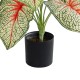 Artificial Garden CALADIUM PLANT 20932 Διακοσμητικό Φυτό Καλάντιουμ Φ58 x Υ55cm