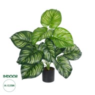 Artificial Garden CALATHEA PLANT 20933 Διακοσμητικό Φυτό Καλαθέα Φ55 x Υ55cm