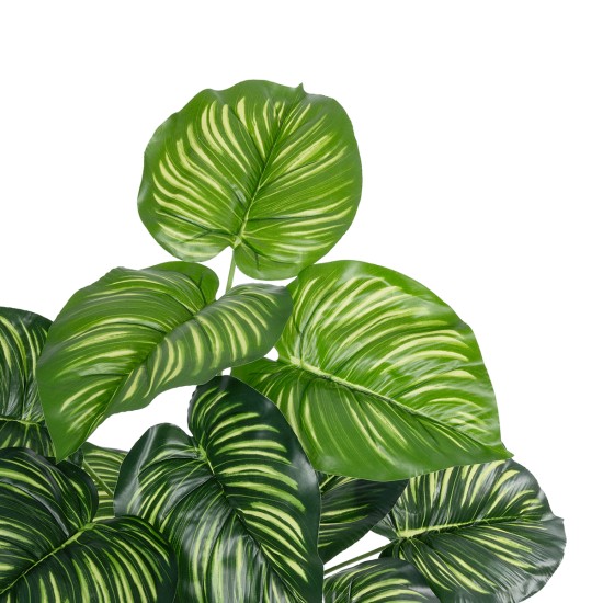 Artificial Garden CALATHEA PLANT 20933 Διακοσμητικό Φυτό Καλαθέα Φ55 x Υ55cm