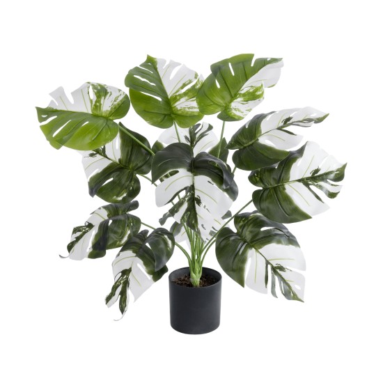 Artificial Garden ALBINO MONSTERA PLANT 20935 - Διακοσμητικό Φυτό Λευκή Μονστέρα Φ60 x Υ55cm