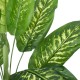 Artificial Garden CALATHEA PLANT 20940 Διακοσμητικό Φυτό Καλαθέα Φ80 x Υ90cm