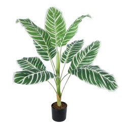 Artificial Garden WHITE ZEBRA PLANT 20943 Τεχνητό Διακοσμητικό Φυτό Λευκή Ζέβρα Φ90 x Υ90cm