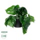 Artificial Garden  MONSTERA PLANT 20945 - Διακοσμητικό Φυτό Μονστέρα Φ40 x Υ33cm