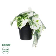 Artificial Garden ALBINO MONSTERA PLANT 20946 - Διακοσμητικό Φυτό Μονστέρα Φ23 x Υ16cm