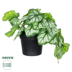 Artificial Garden WHITE BEGONIA PLANT 20947 Διακοσμητικό Φυτό Λευκή Μπιγόνια Φ23 x Υ16cm