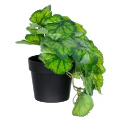 Artificial Garden GREEN BEGONIA PLANT 20949 Διακοσμητικό Φυτό Πράσινη Μπιγόνια Φ23 x Υ16cm