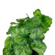 Artificial Garden GREEN BEGONIA PLANT 20949 Διακοσμητικό Φυτό Πράσινη Μπιγόνια Φ23 x Υ16cm