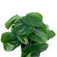 Artificial Garden STRAWBERRY PLANT 20951 Διακοσμητικό Φυτό Φράουλα Φ23 x Υ16cm