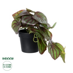 Artificial Garden BROWN PEPEROMIA PLANT 20952 Διακοσμητικό Φυτό Καφέ Πεπερόμια Φ23 x Υ16cm