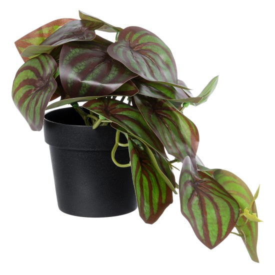 Artificial Garden BROWN PEPEROMIA PLANT 20952 Διακοσμητικό Φυτό Καφέ Πεπερόμια Φ23 x Υ16cm